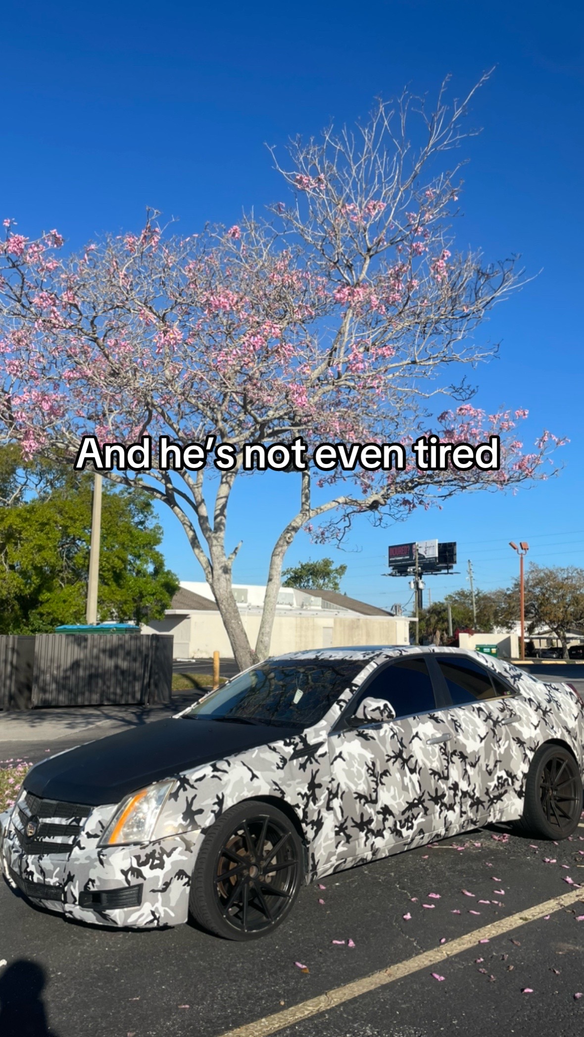 @CAMMOCADDI