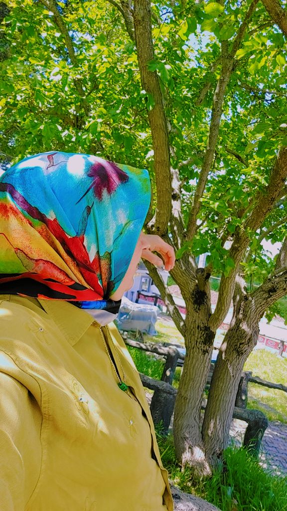 @🐞𝘎𝘪𝘻𝘦𝘮𝘭𝘪 𝘏𝘢𝘵𝘶𝘯🦋