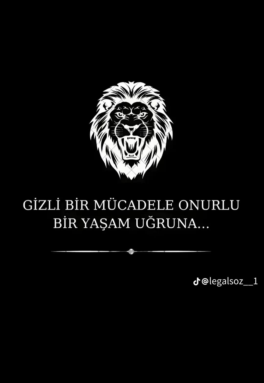 @Badıllı 63 🦅👑