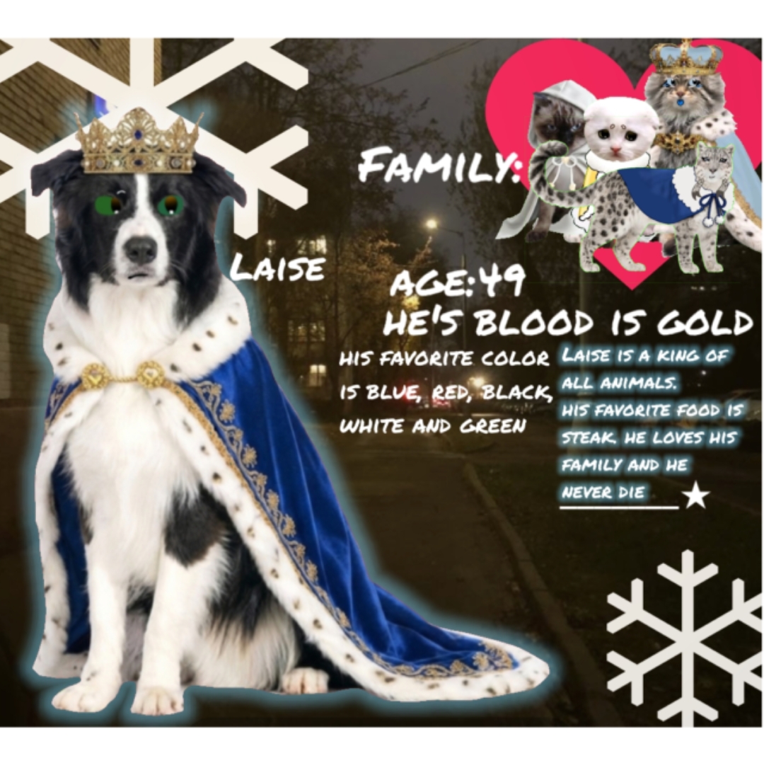 @собака Лейси👑|||🐶✅🐱✅