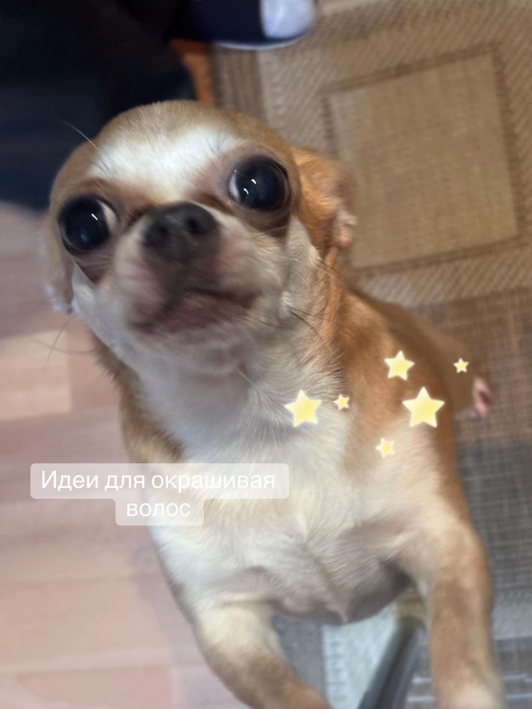 @Nasasa♱⃓