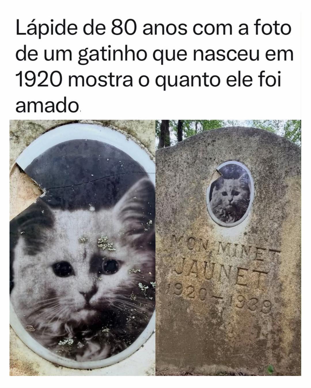 @Alfinetei