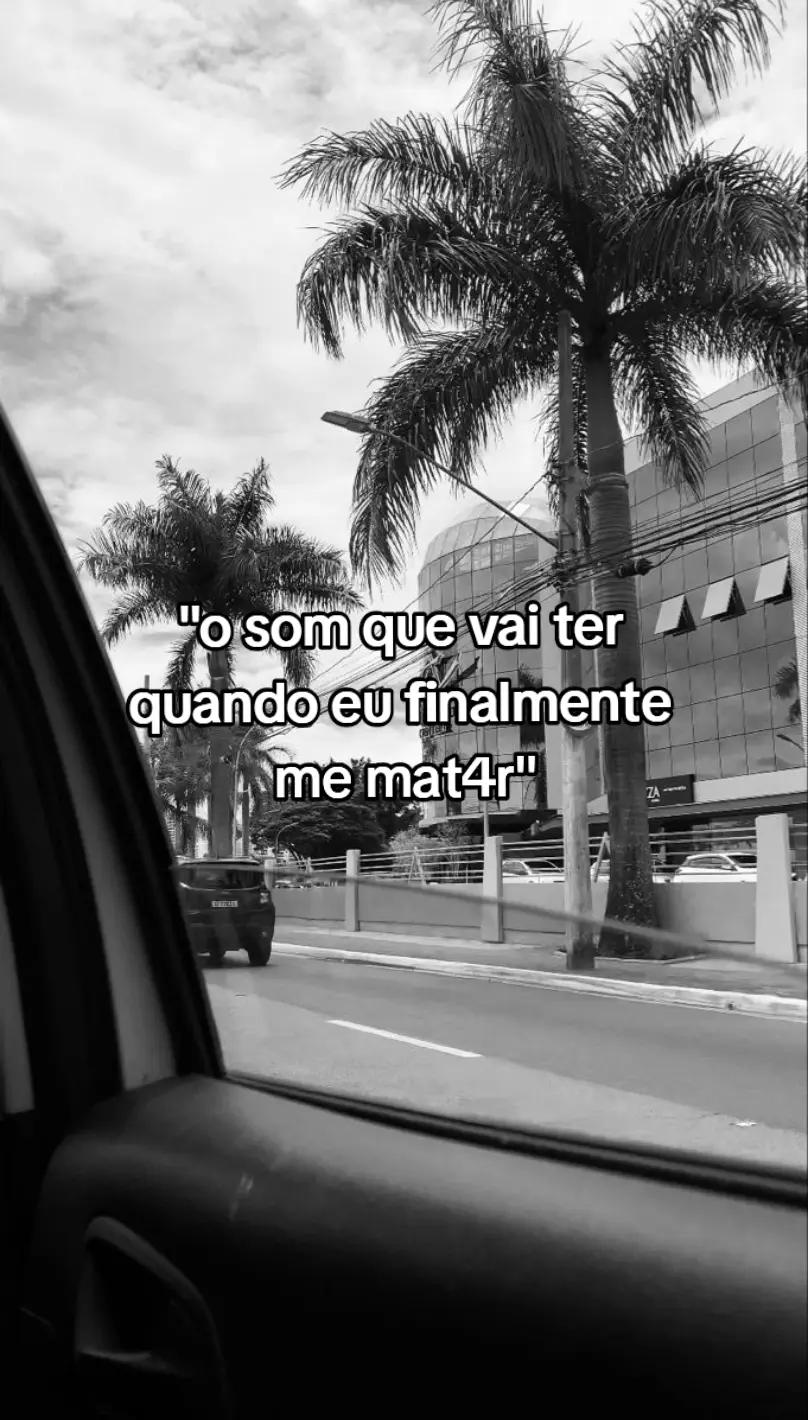 @Sophia Faria