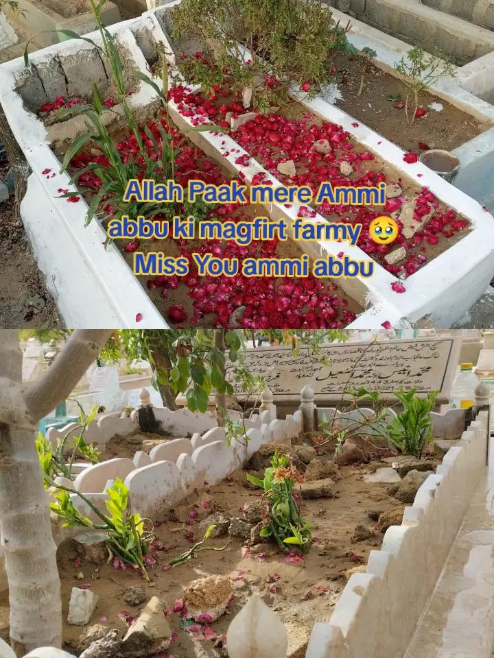 @tasbiha766