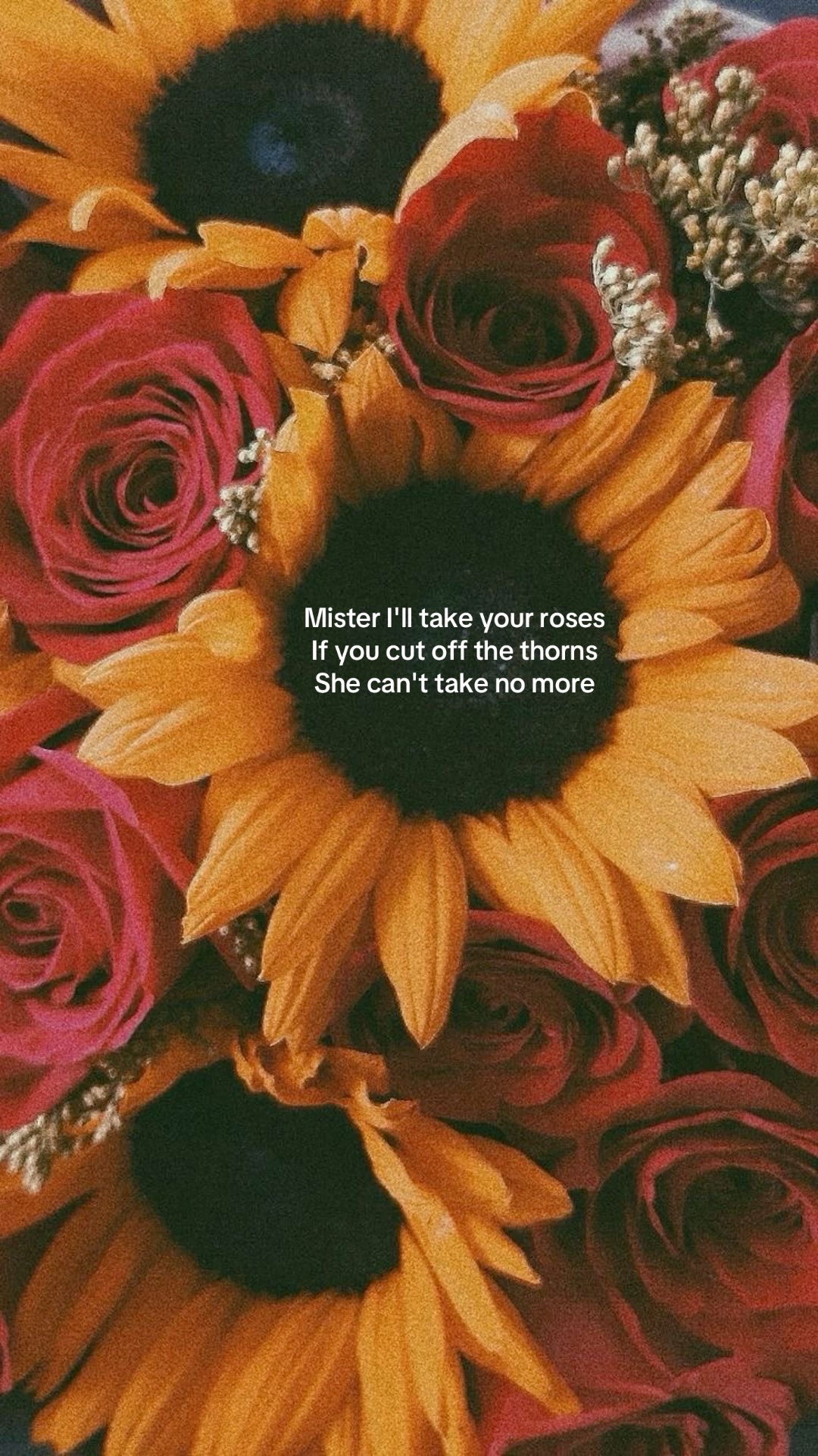 @Adia