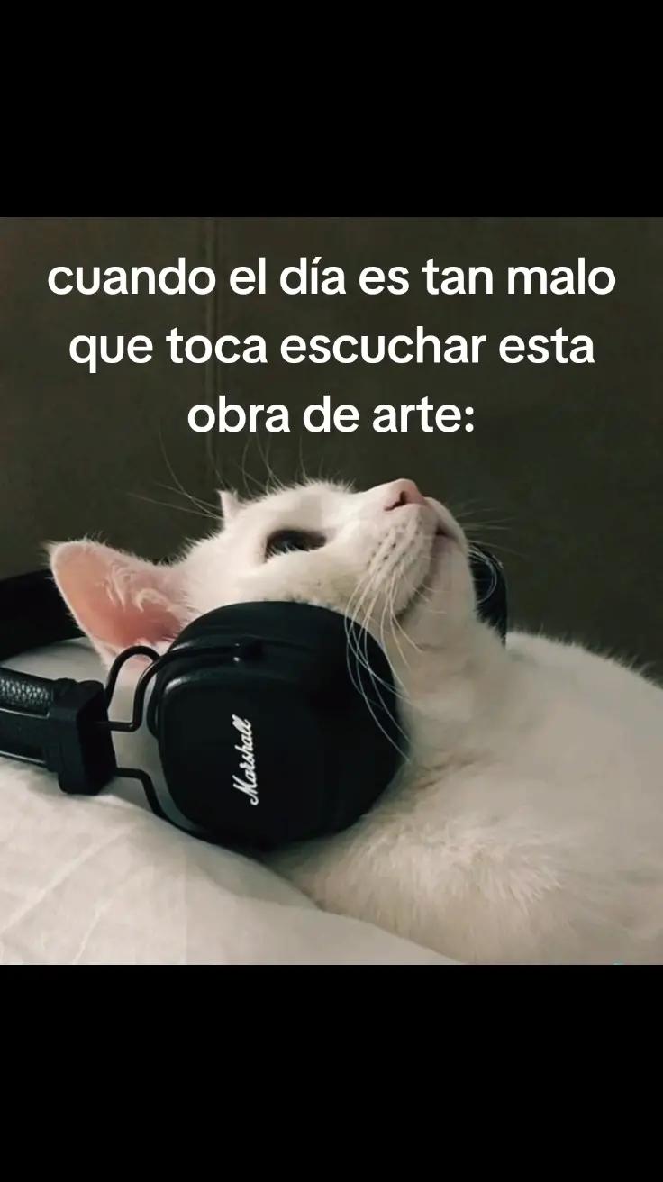 @Leoncio🗣️