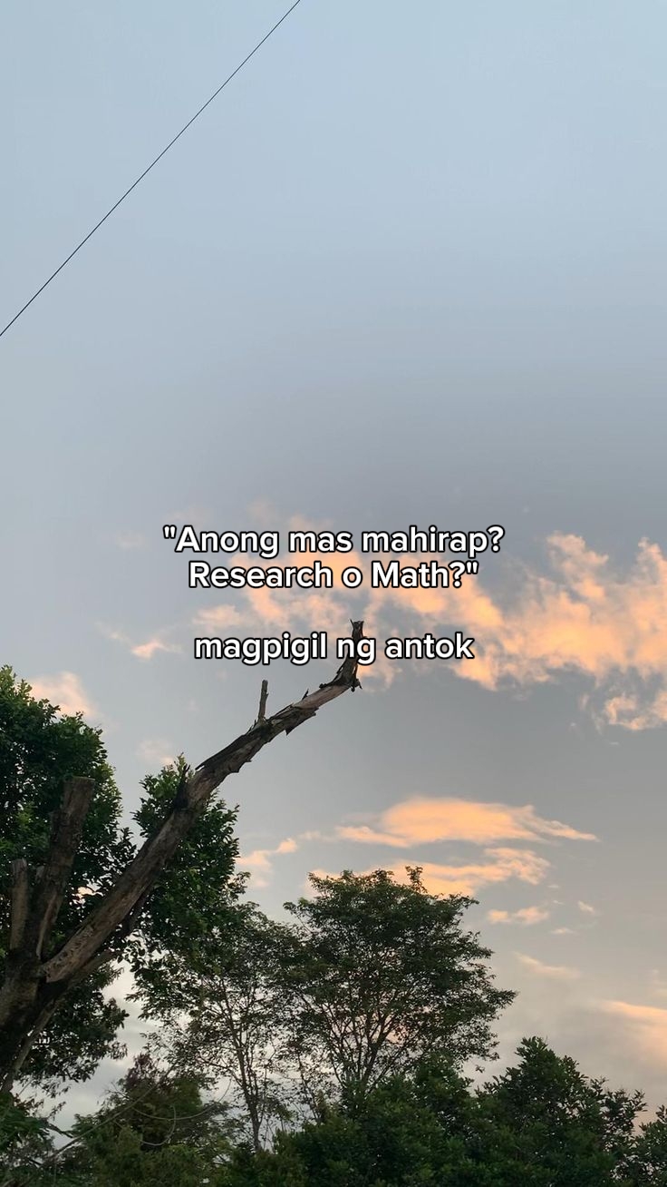 @🛴araaa