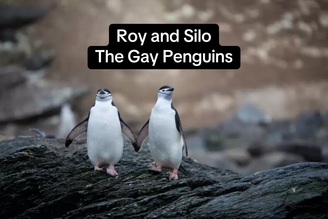 @AnimalTime