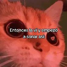 @SUGATEQUIERO