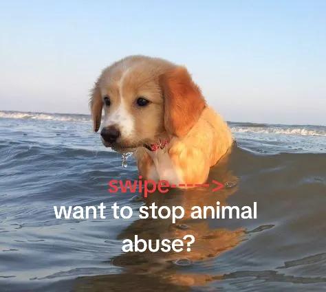 @๐ฆ๐ง