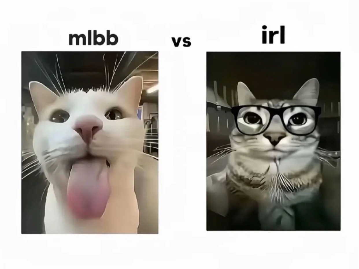 @𝗧𝗵𝗶𝗽𝗹𝘆✿