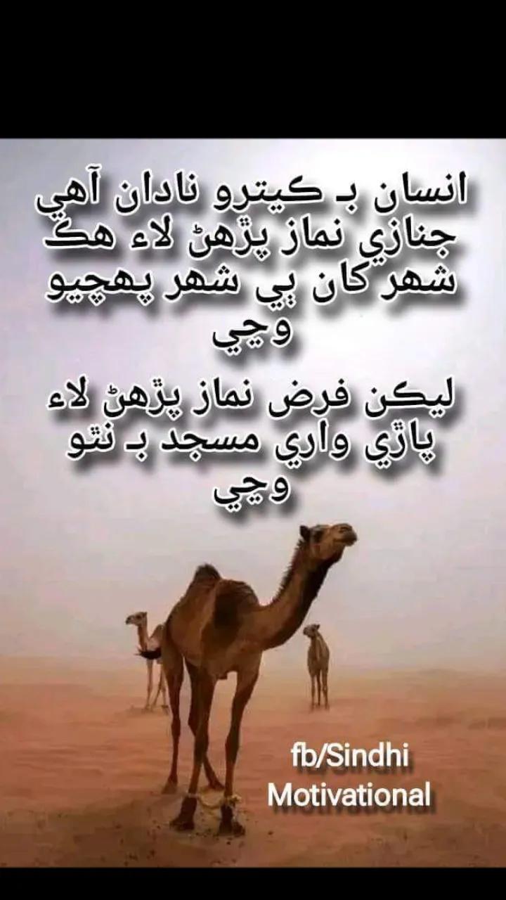 @Mian Asif Indher