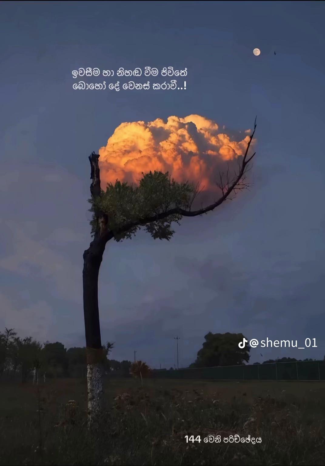 @RANGA (ලොකූ)