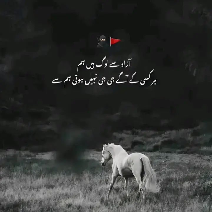 @منڈا مغلہ دا