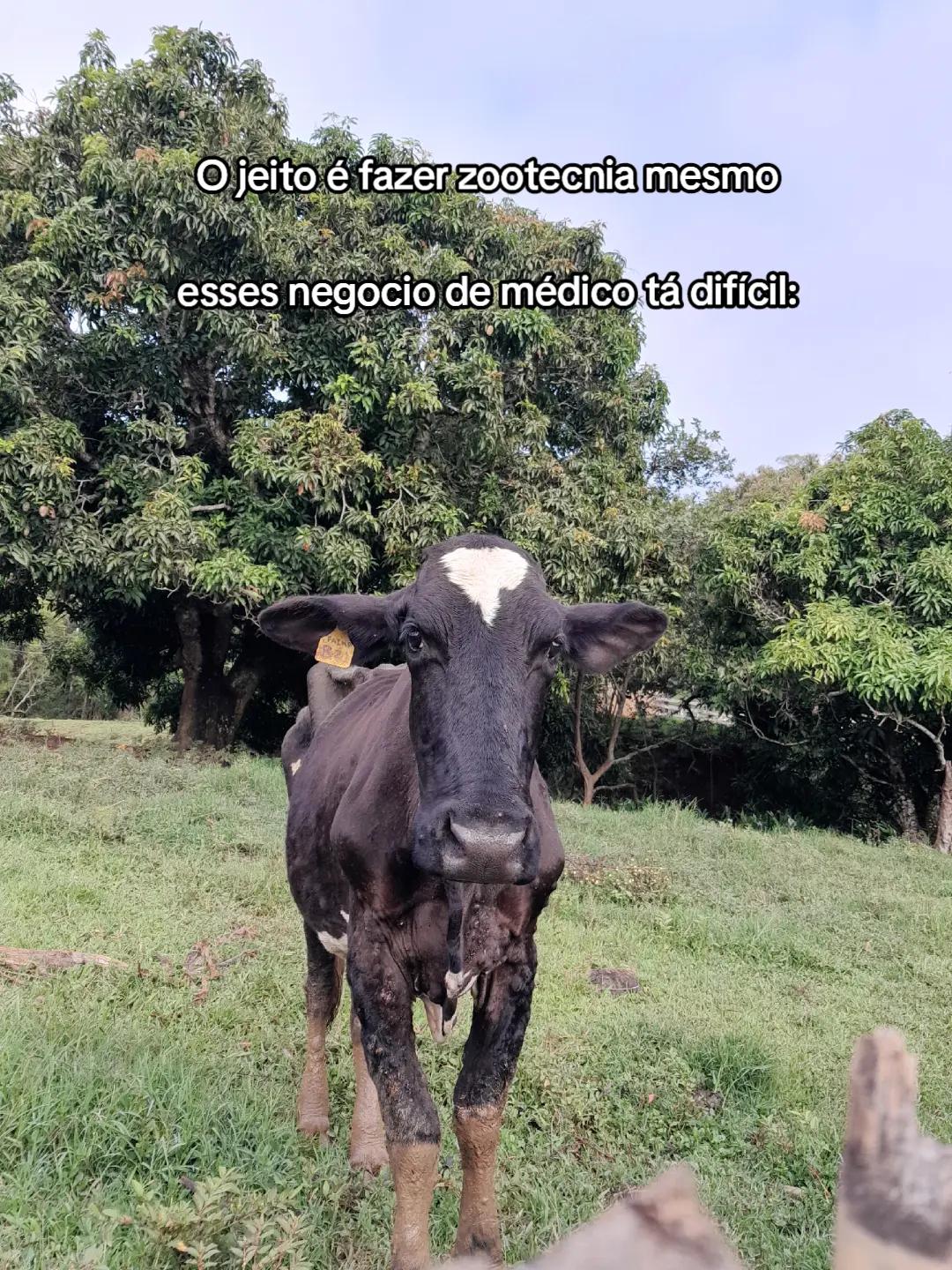 @ana julia