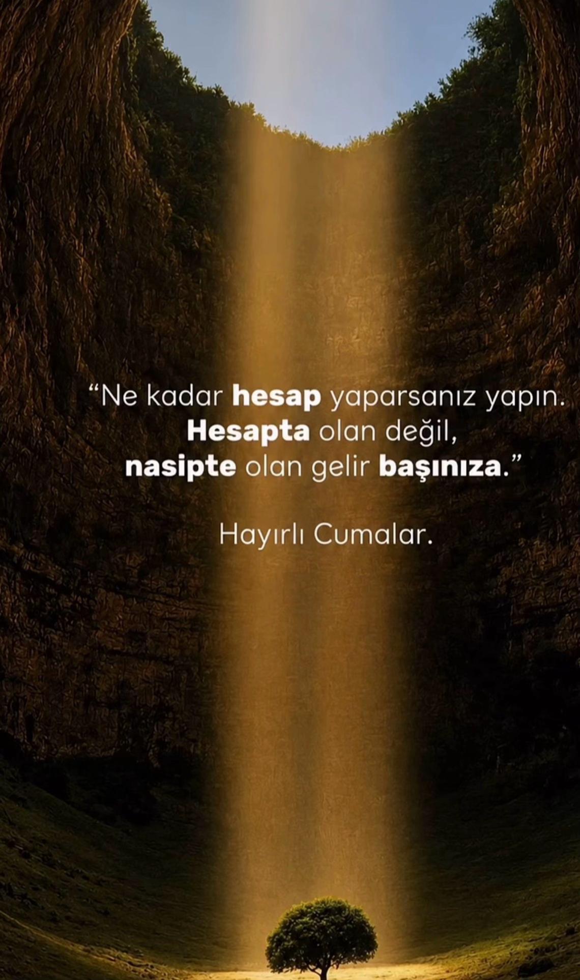 @Muhlis Yılmaz