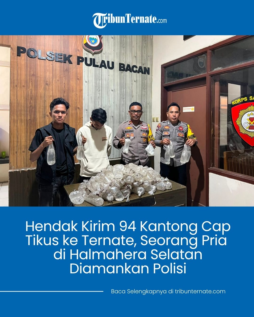 @TribunTernate.com