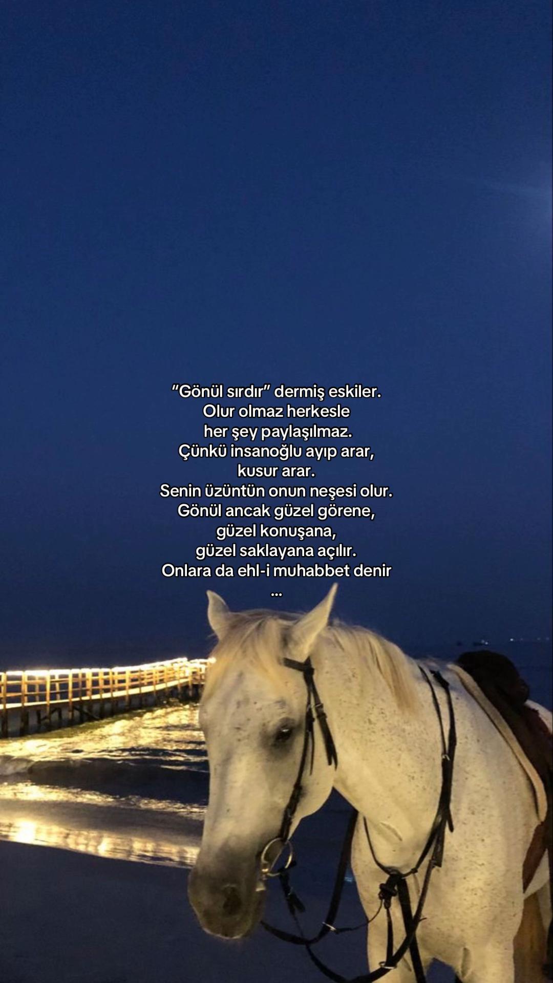 @𝓔𝓵𝓲𝓯