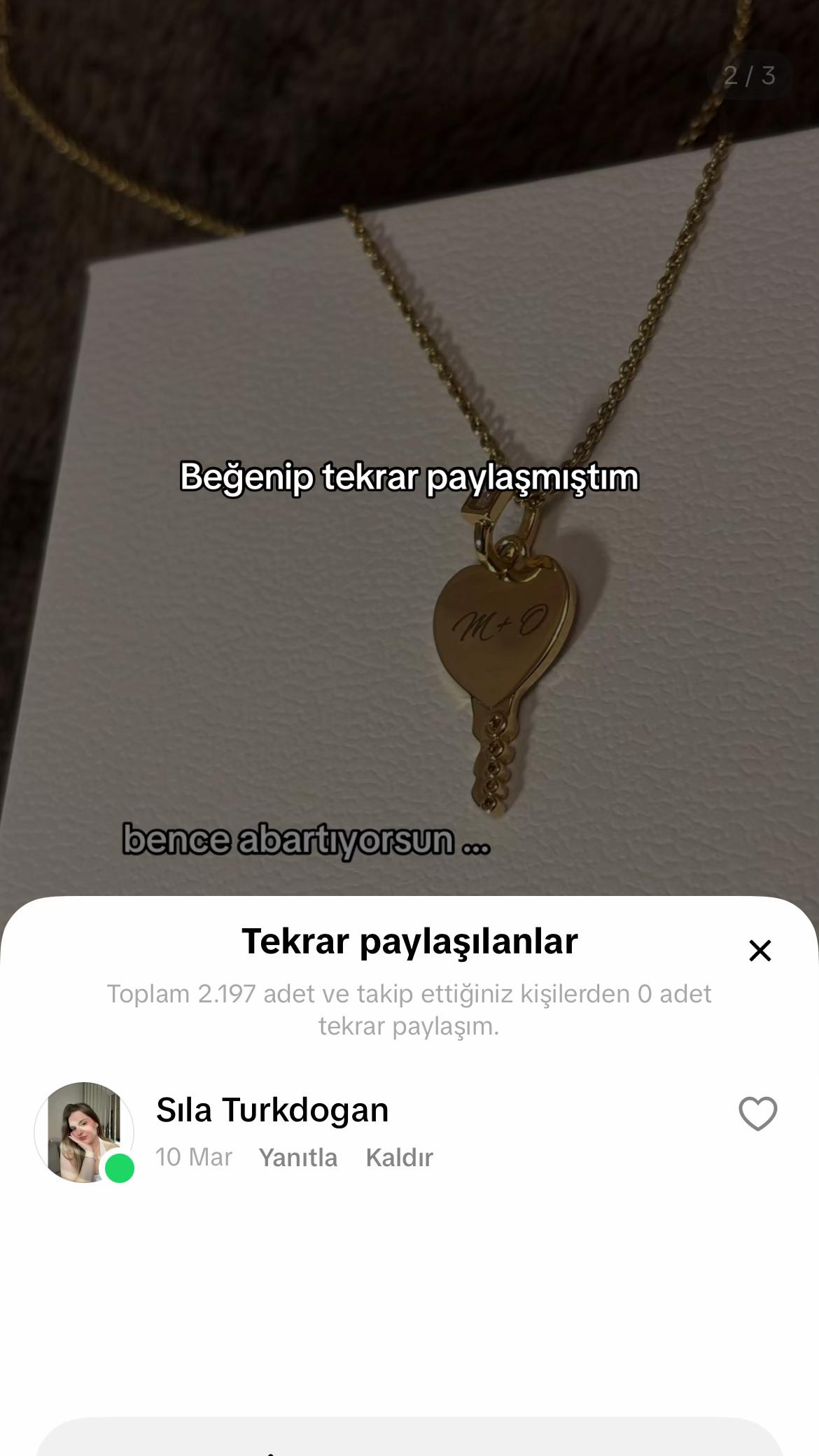 @Sıla Türkdoğan