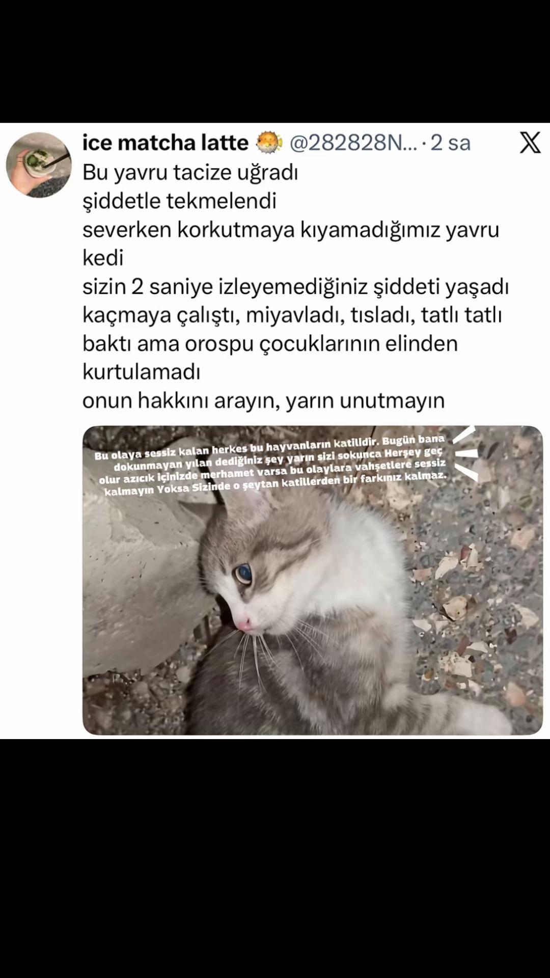 @gizsmben