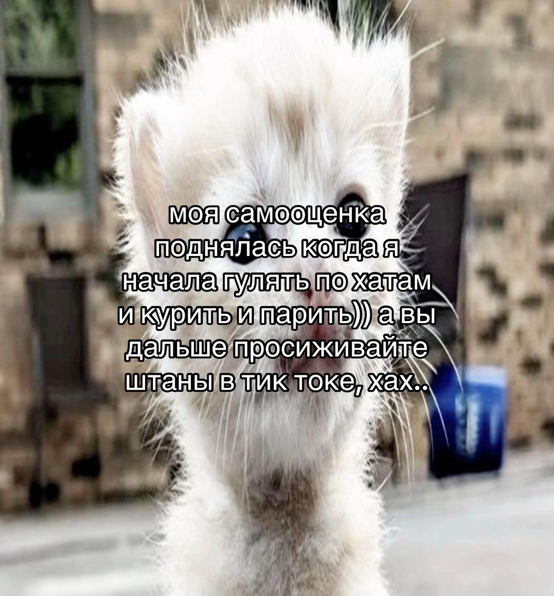 @Дианка 💖