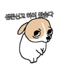@스틱판
