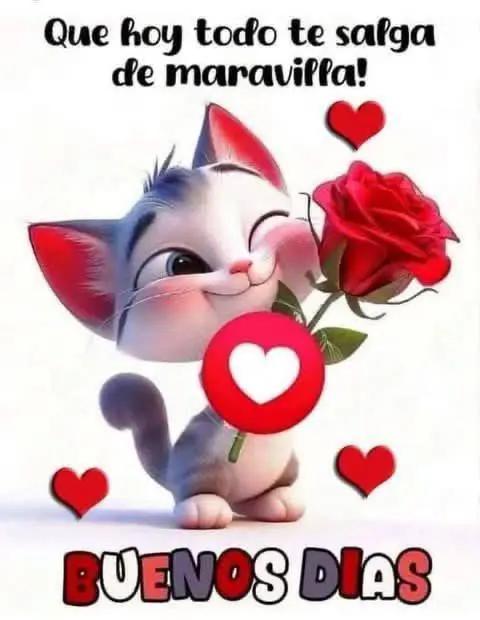 @carolg