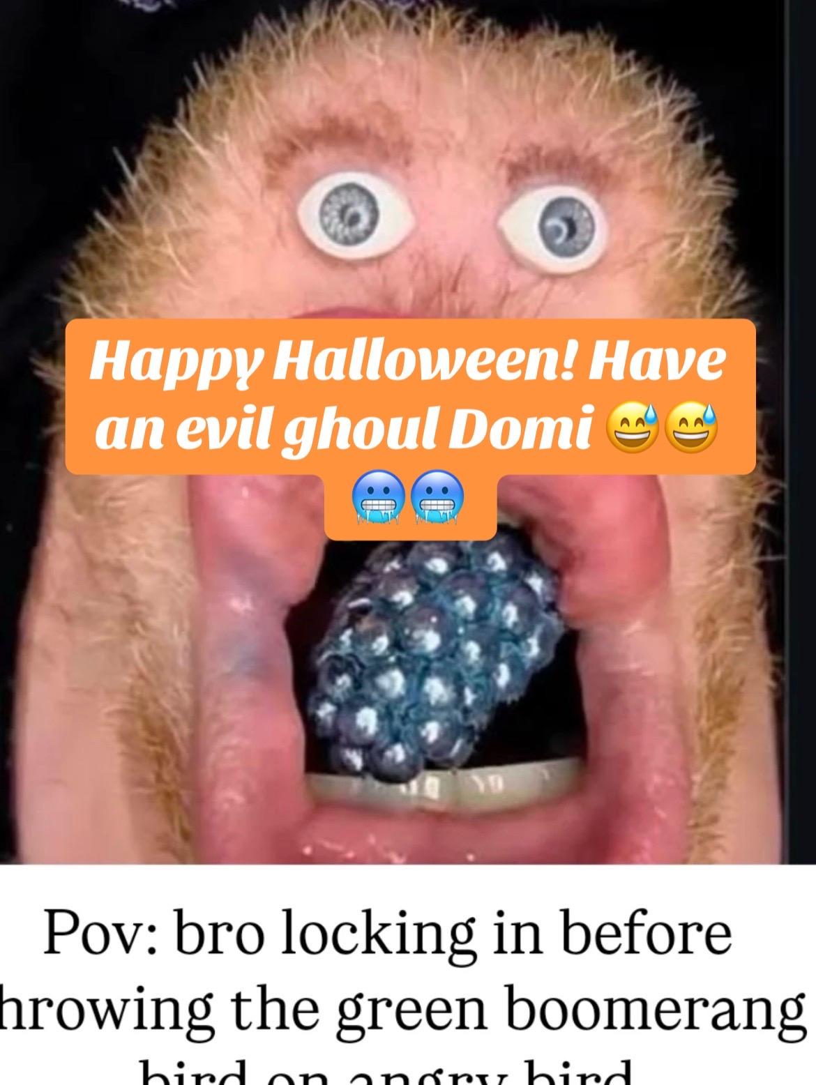 @Domi