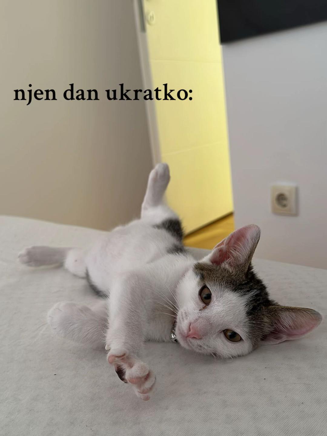 @AM