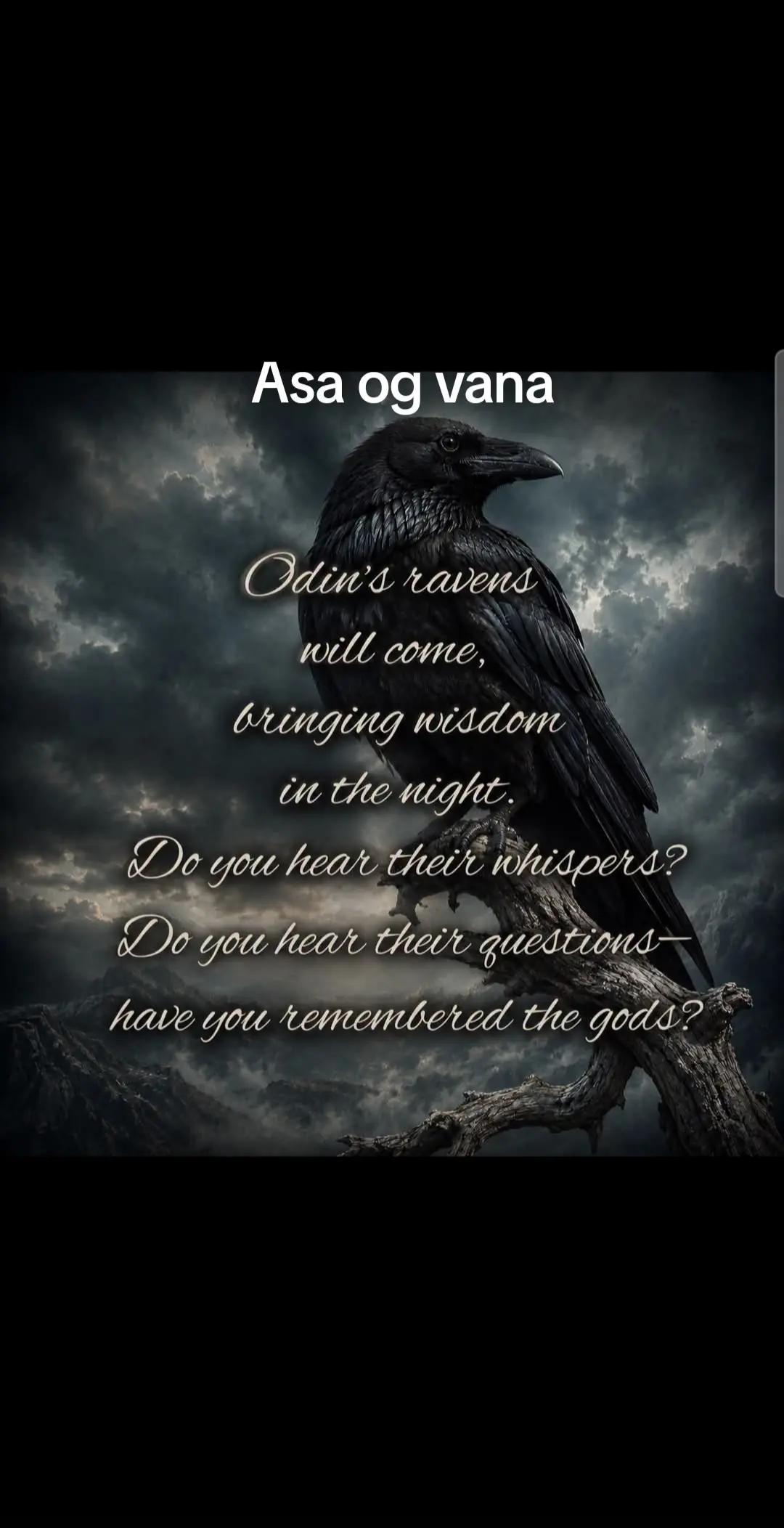 @Old man Berserker🪓Úlfheđnar