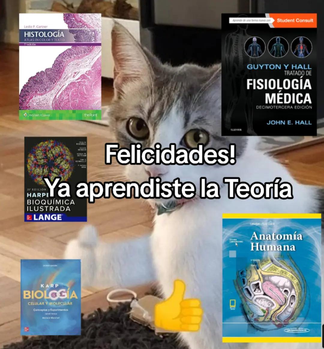 @⚕️Experiencia Médica⚕️