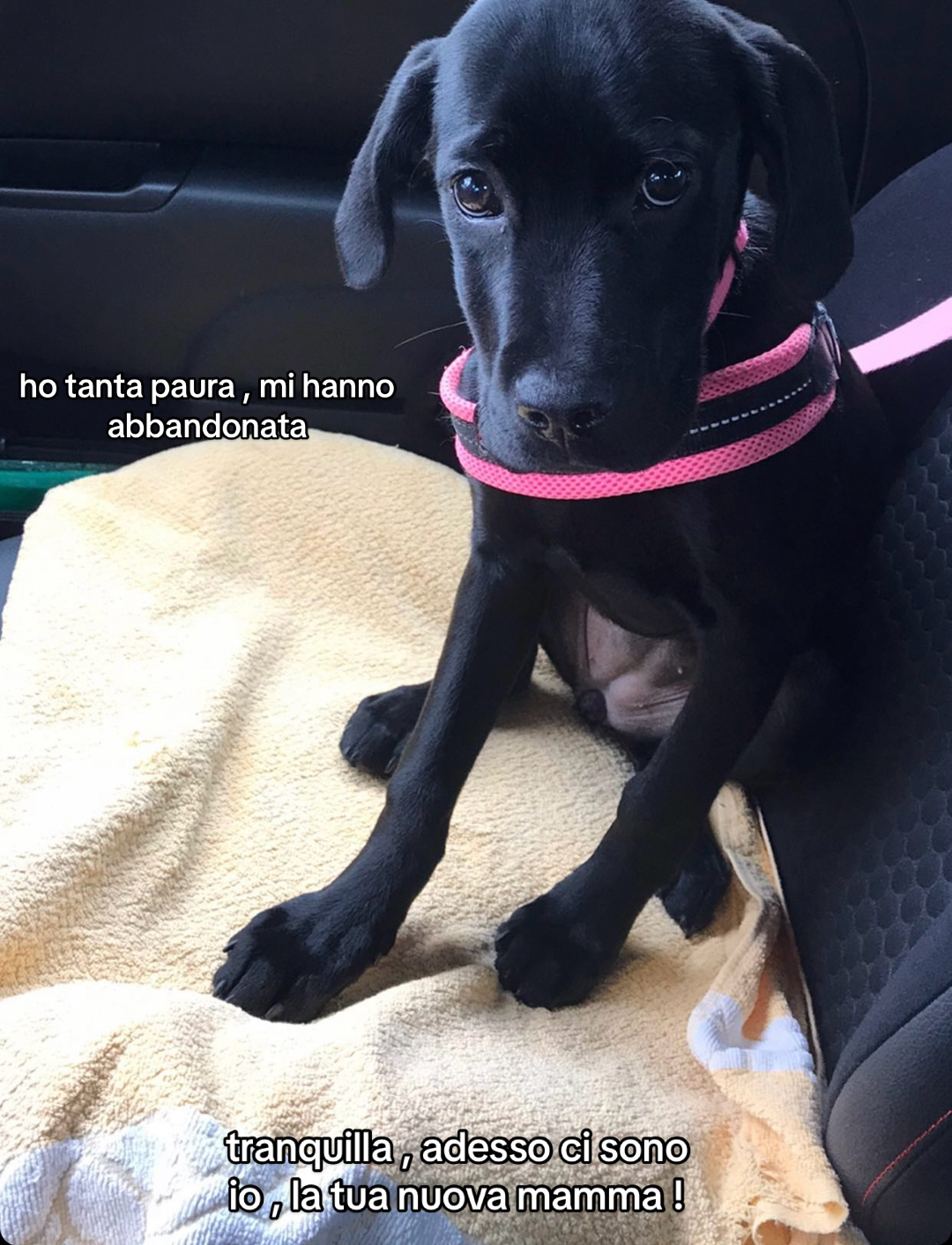 @Lulla