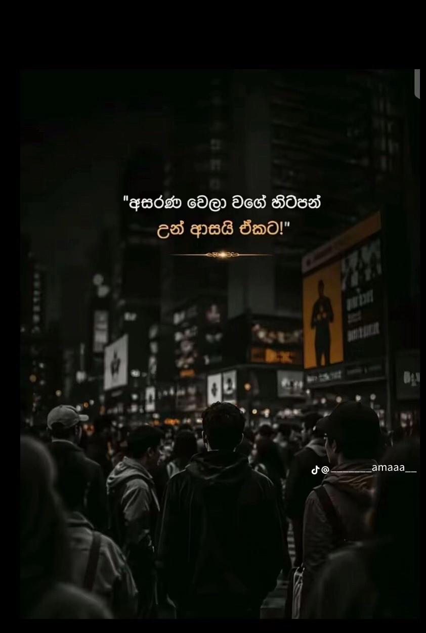 @user5452903374932