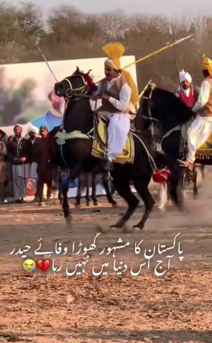 @🐴❤️🔥