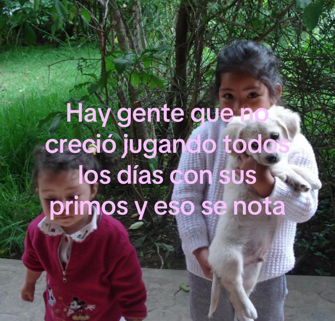 @camibenites02