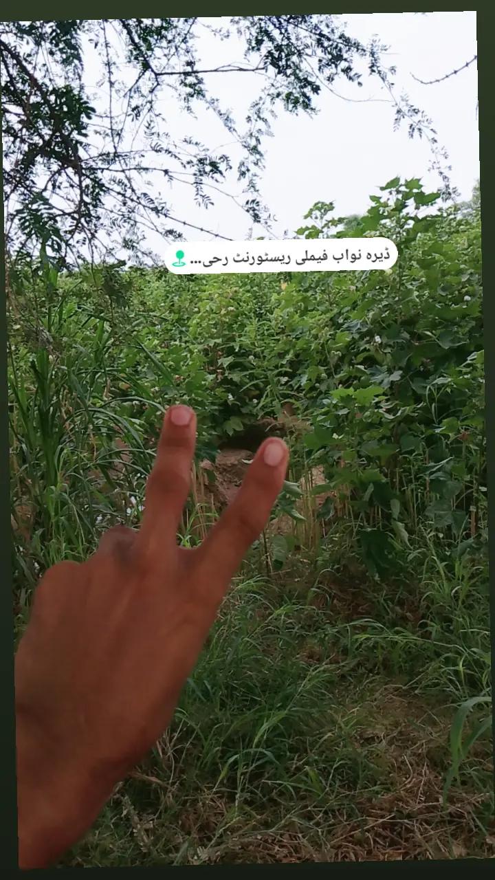 @Faiza Ali