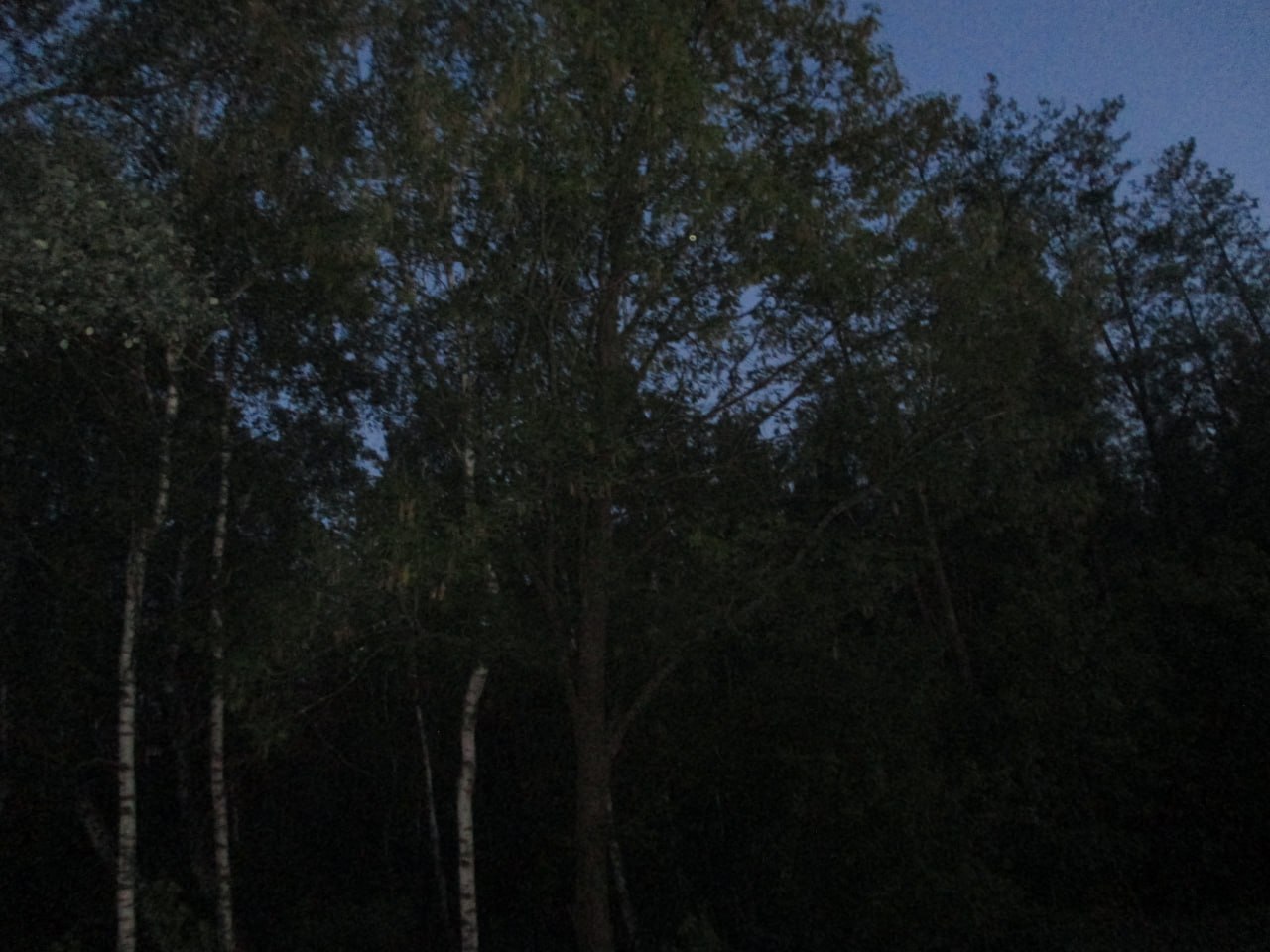 @сбежавший из пустоты