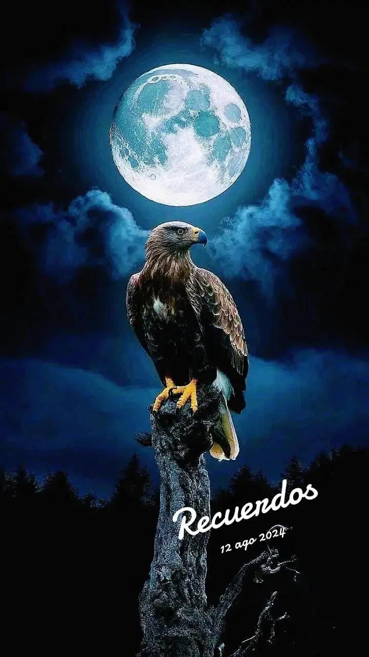 @El Compa Meño