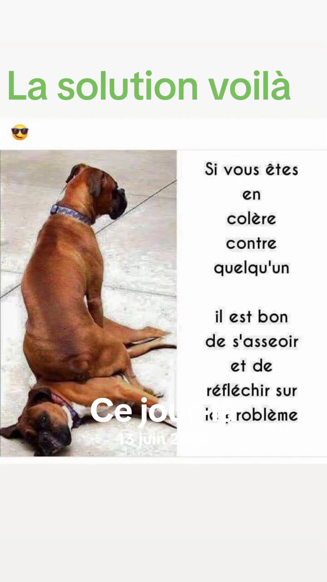 @Le québécois coach