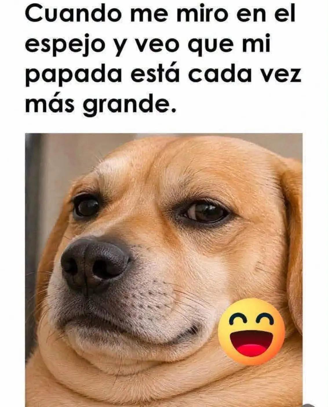 @Henry Hernandez