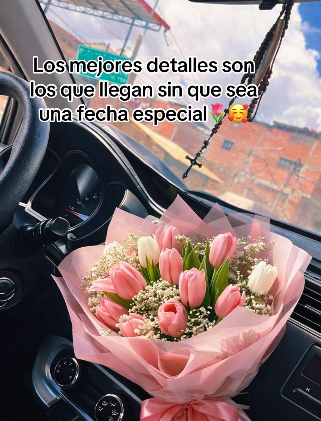 @Stefany Obregon