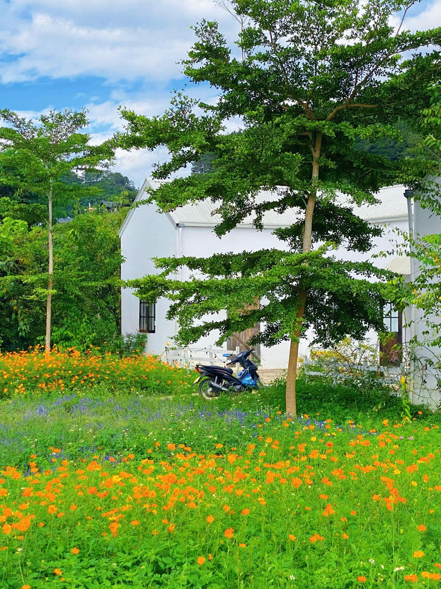 @Dream Farmhouse Mộc Châu
