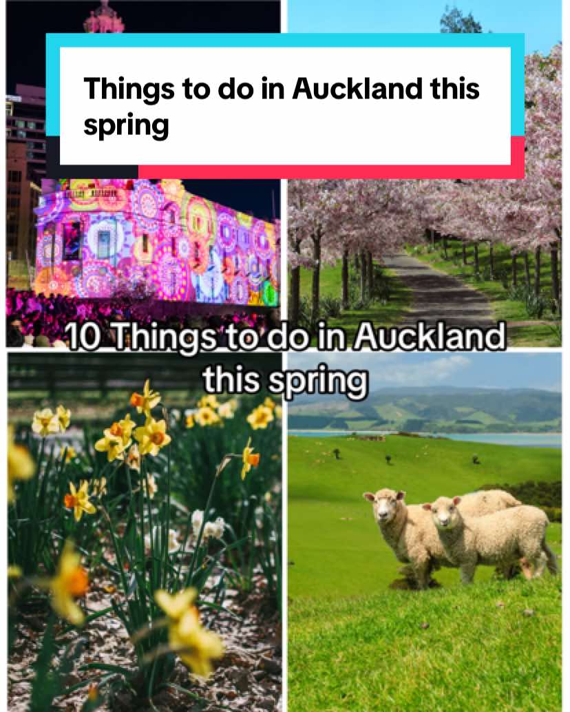 @Visit Auckland