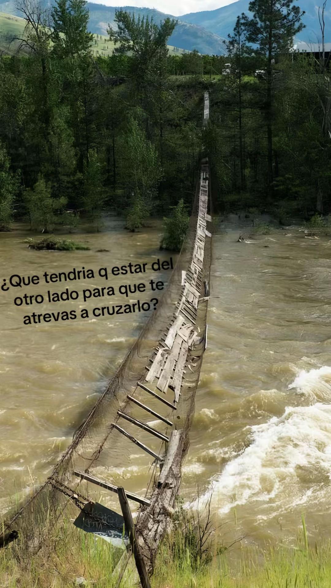 @checho