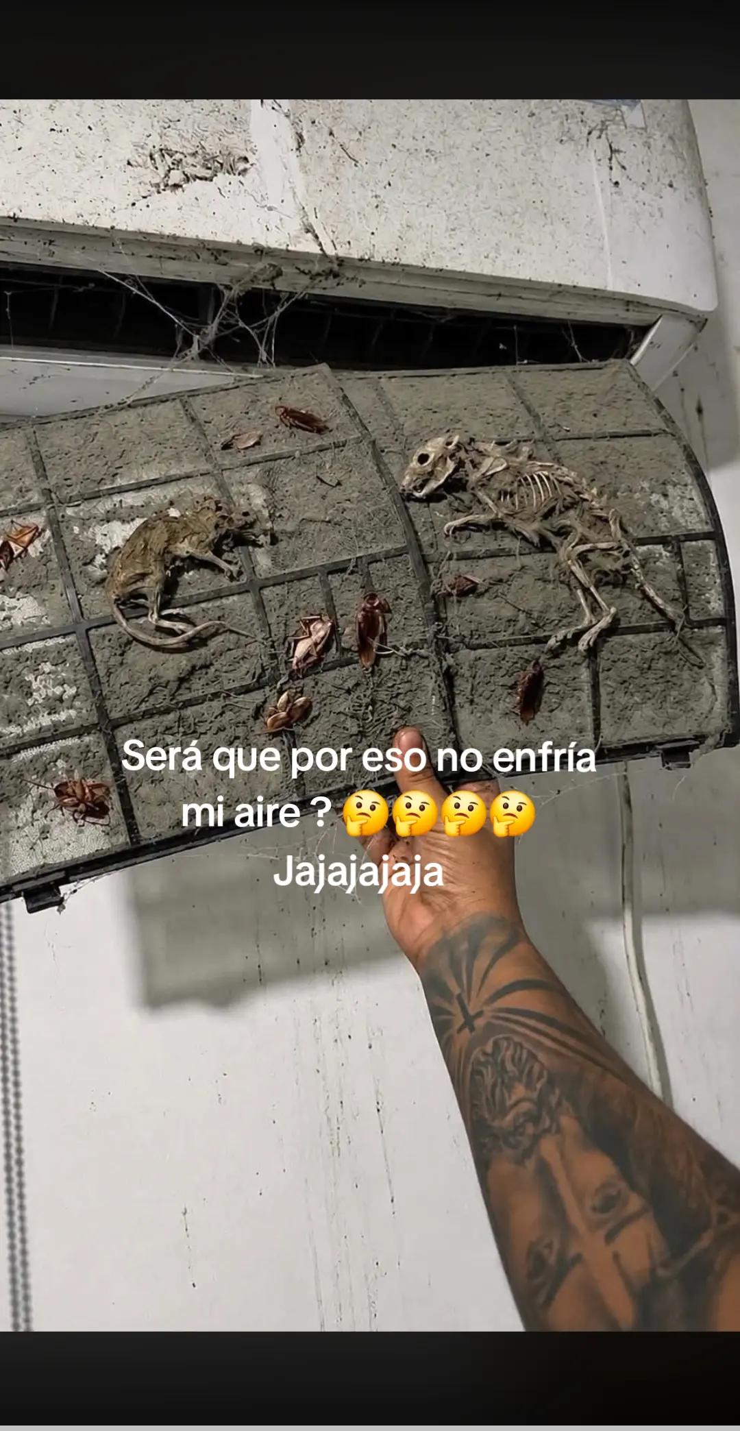 @pilar barrera