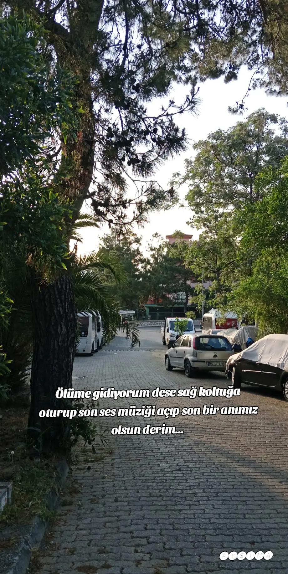@โก๐
๐
จ๐
ข๐
๐
๐
โก