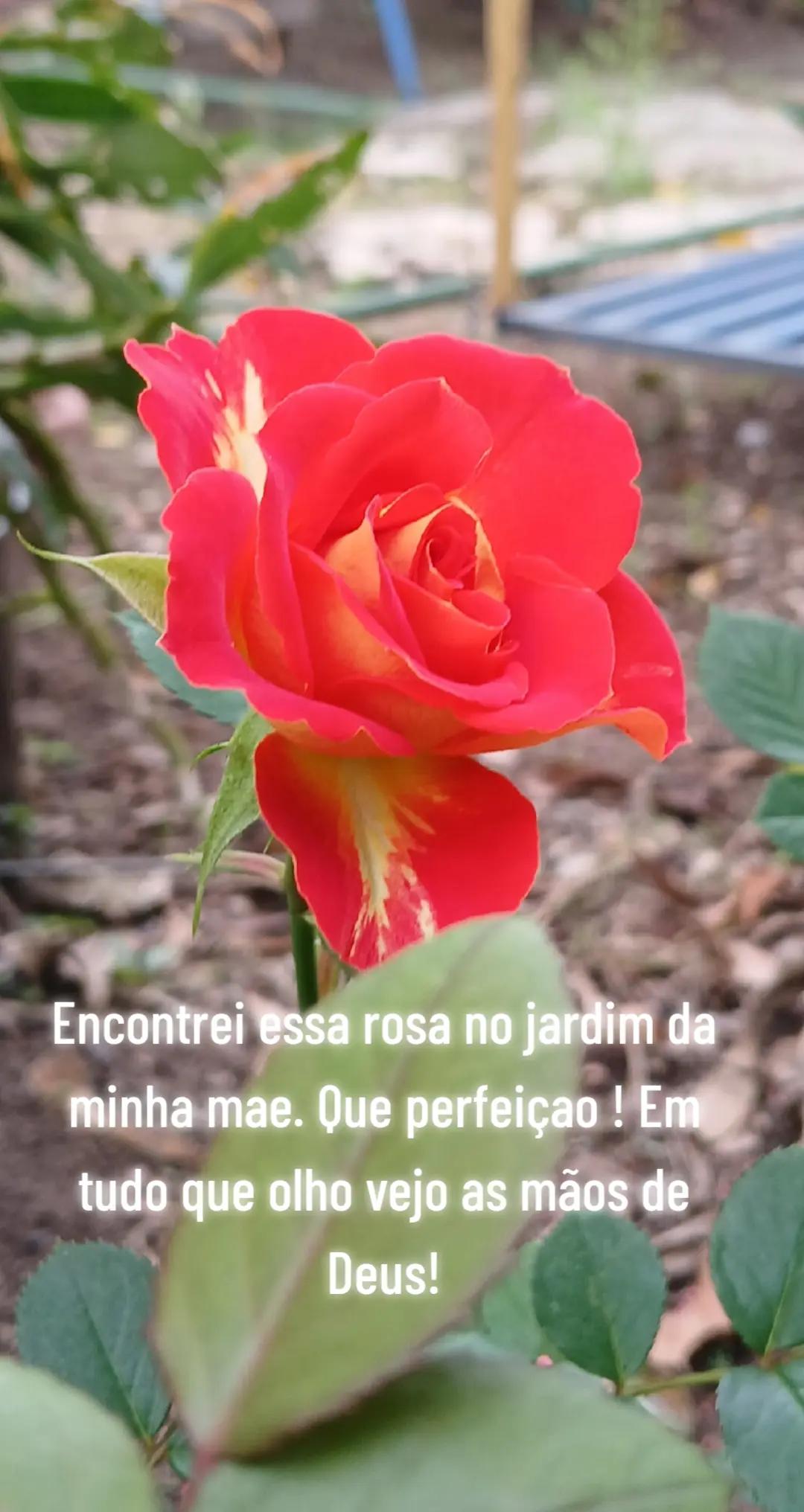 @Djjacosantana