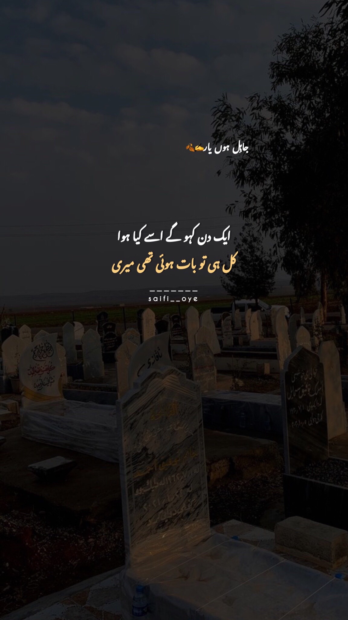 @جاہِل ہوں یار 🍂