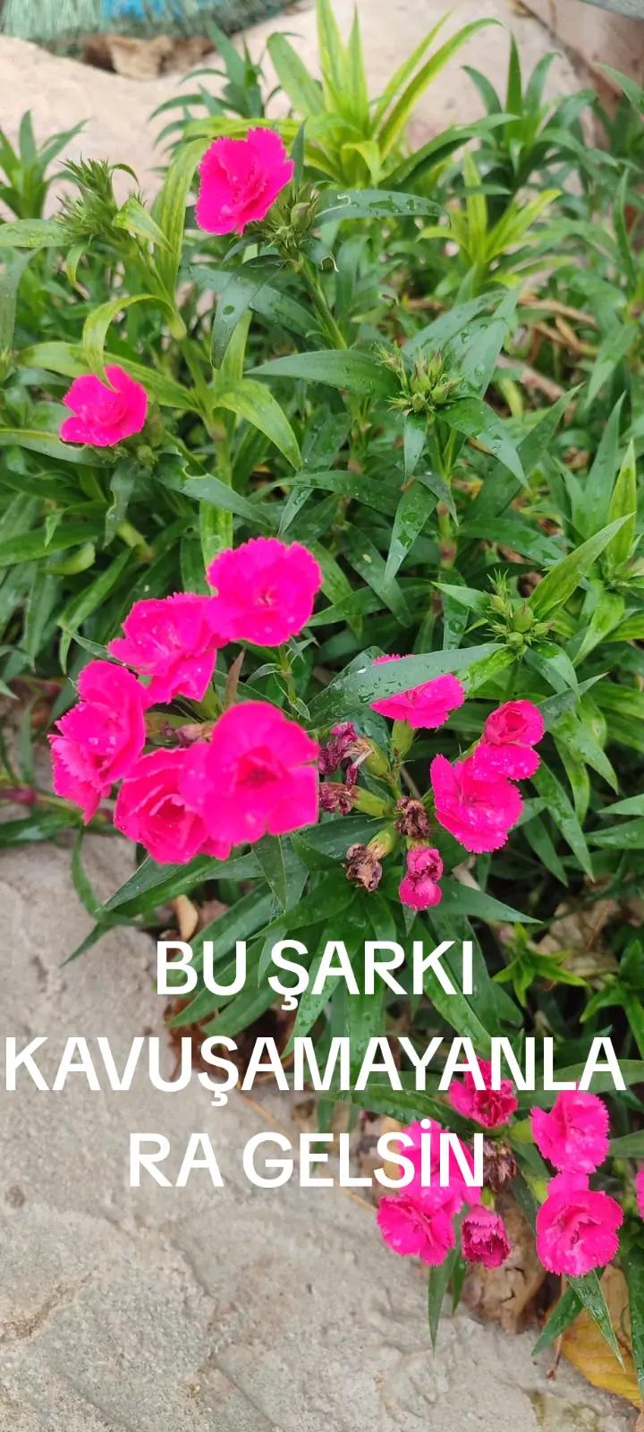 @YAKIŞIKLI GÜVENLİK 🇹🇷🇹🇷