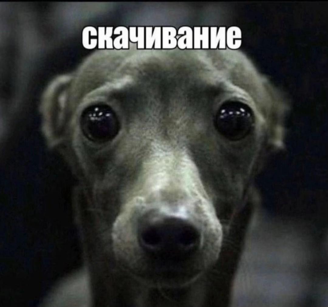 @лс вонючий✌🏿